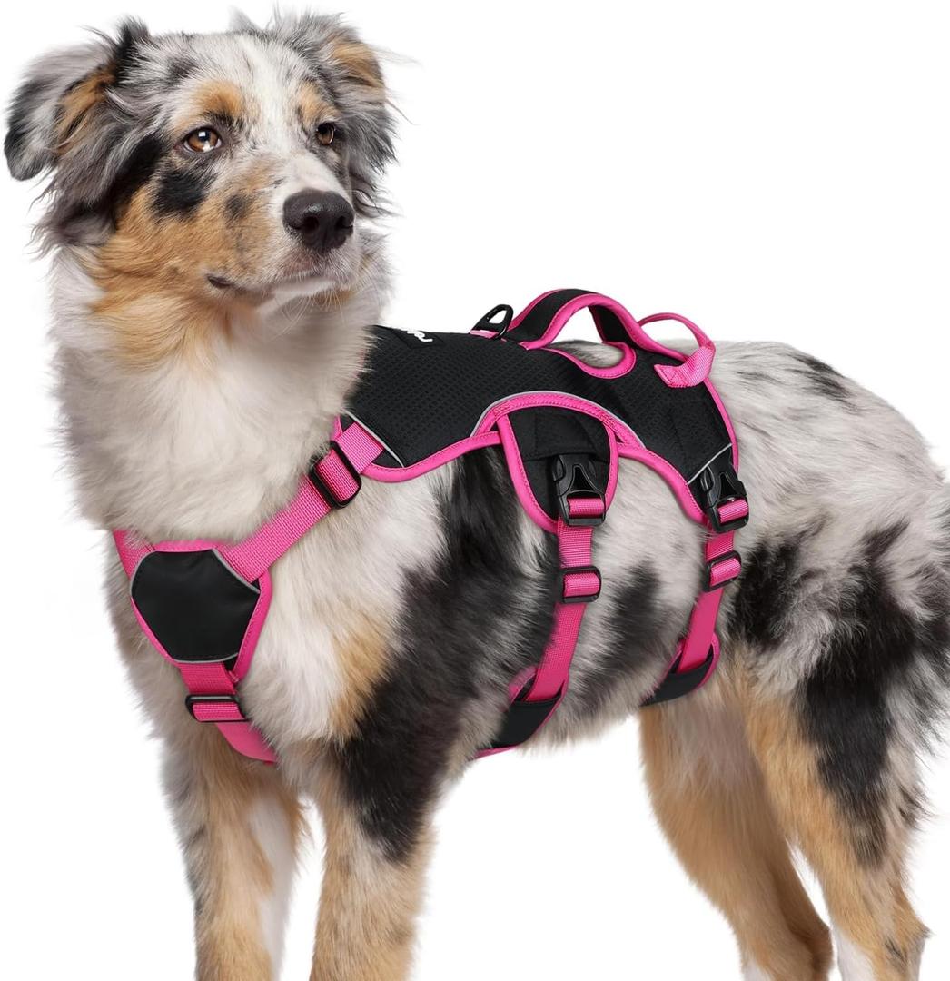 rabbitgoo Escape Proof Dog Harness Medium, Soft Padded Full Body Pet Harness, Reflective Adjustable No Pull Vest with Lift Handle and Leash Clip for Walking Hiking Training, Pink & Black, M (Medium (Pack of 1))