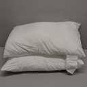Phantoscope Outdoor Pillow Inserts - Square Form Water Resistant Microfiber Throw Pillows, Couch Sham Cushion Stuffer 20 x 20 inches, 2 Count (White)