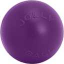 Jolly Pets Push-n-Play Ball Dog Toy, 10 Inches/Large, Purple