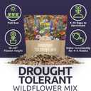 Drought Tolerant Wildflowers Mix  Extra Large Packet  Over 7,500 Open Pollinated Non-GMO Seeds  21 Different Dryland Species (1 Ounce Pouch)