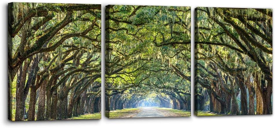 Pacimo Tree Landscape Wall Art Set of 3 - Framed Canvas Painting Prints with Forest Path Archway Design - Modern Artwork Home Decor Wall Decor for Living Room Bedroom Office - 12"x16"x3 Panels