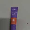 Lansinoh Lanolin Lip Balm, 2 Pack, 0.25 oz Each, Ultra-Moisturizing Lip Care with Natural Lanolin for Dry, Chapped Lips