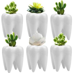 Hedume 6 Pack Tooth Shaped Planter Pots, Small Cute Flower Plant Containers, Mini Ceramic Succulent Planter Pots, Creative Pen Pencil Holder for Desk Decor