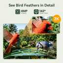 Smart Bird Feeder with Camera, AI Identify Birds Species, 2K HD Color Night Vision, IP65 Waterproof Solar Powered Bird Feeder with 142° Wide Angle, Auto Capture & Real-time Notifications, Ideal Gift