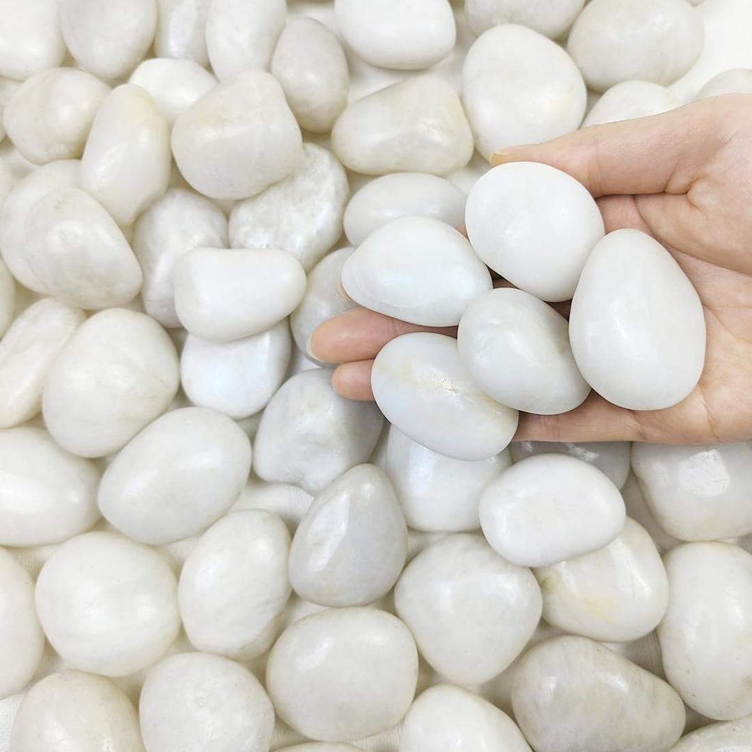 FANTIAN 40 lbs White River Rocks for Landscaping, 1-2 Inch Polished Pebbles for Indoor Plants, Decorative White Stones for Plants, Vase, Aquarium, Fish Tank and Garden