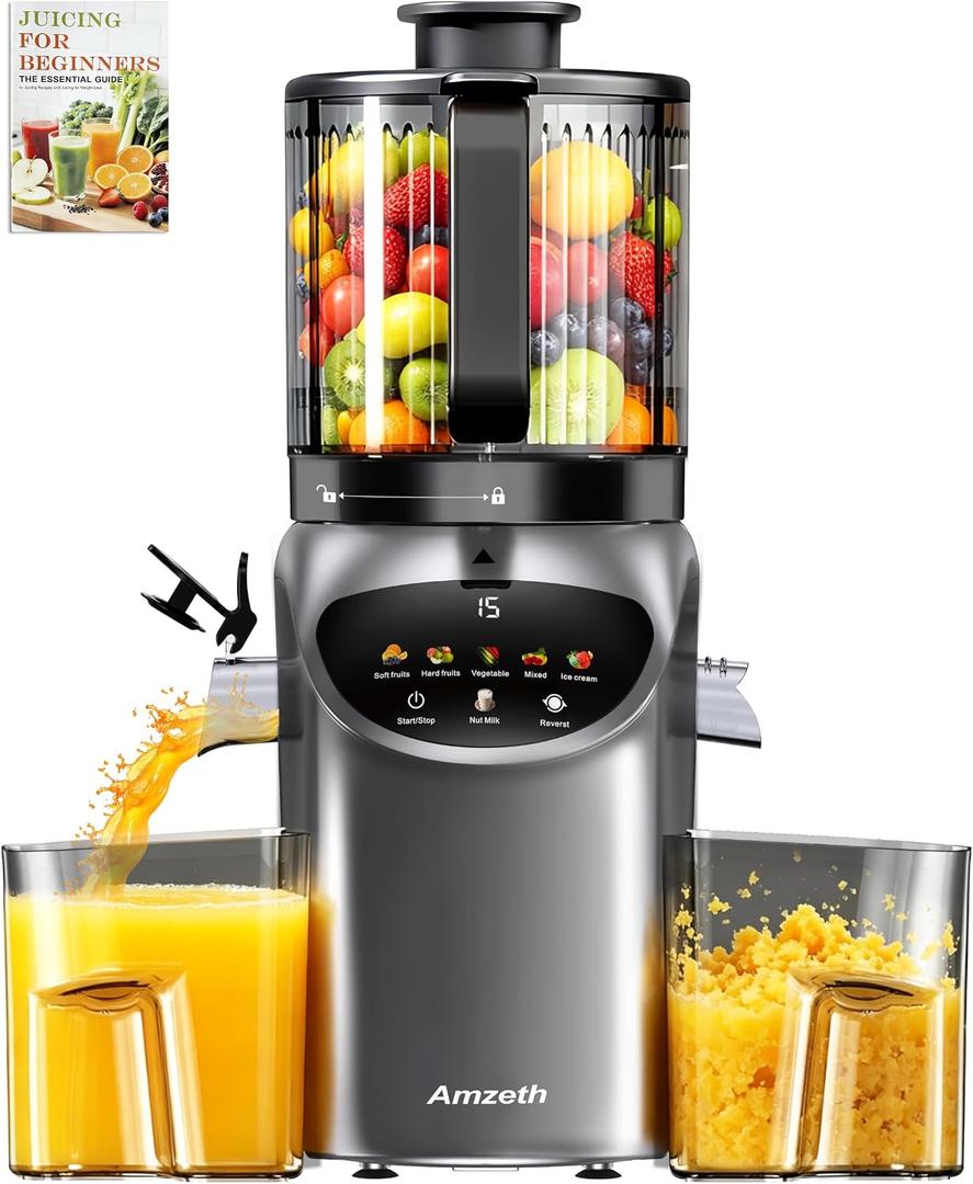 Juicer Machines with 6.5" Large Chute,3-in-1 Cold Press Juicer for Whole Vegetables Fruits 450W, Masticating juicer Easy to Clean Juice Extractor Machine for Making Nut Mike, (Premier Space Gray)