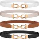 WERFORU Women Skinny Belt for Dresses Retro Stretch Waist Belt with Gold Buckle Set of 4