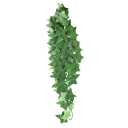 Reptile Treasures Ivy Plant 24 inch