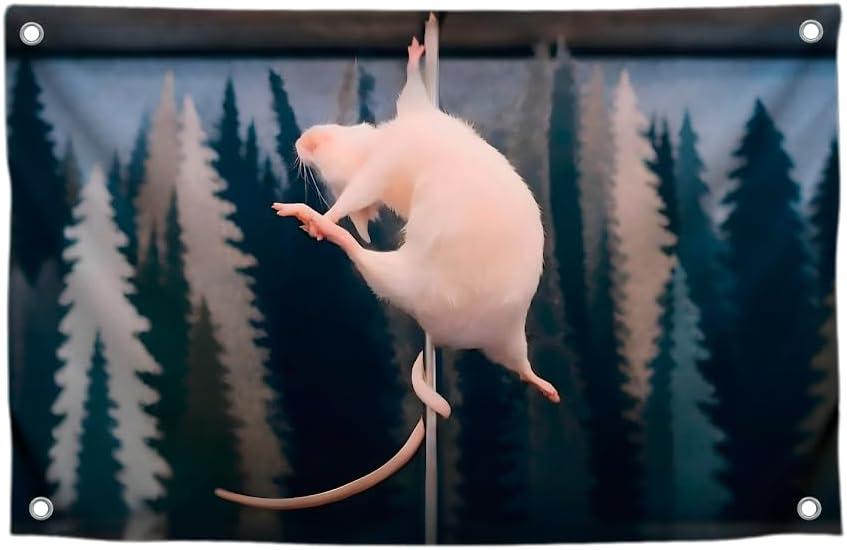 2 x 3x5 Ft Single Sided Polyester Flag with 4 Brass Grommets - Funny Pole Dancing Rat Meme Poster for College Dorm - Silly Banner Tapestry for Garden Decor - Cool Apartment Flag for Indoor or Outdoor