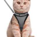 rabbitgoo Cat Harness and Leash Set for Walking Escape Proof, Adjustable Soft Kittens Vest with Reflective Strip for Cats, Comfortable Outdoor Vest, Grey, L