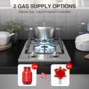ANHANE 12 Inch 2-Burner Gas Stove: Portable Stainless Steel Propane Cooktop for RV, Apartments & Outdoor Dual Fuel LPG/NG, Easy to Clean Built-in Gas Cooktop