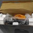 2025 Mini Donut Maker Machine for Home, Kid-Friendly 16-Hole Electric Doughnut and Pancake Maker with Non-Stick Surface, Ideal for Homemade Doughnuts (Black with Mini Oven Gloves & Brush)