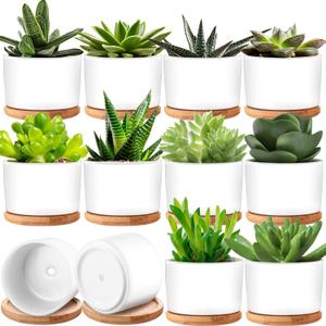 Cindeer 12 Sets Succulent Plant Pot Ceramic Succulent Pots Container Cactus Pots with Bamboo Tray Small Cylinder Flower Plant Pot with Bamboo Saucers for Plants Indoor Outdoor(White,3 x 2.17 Inch)