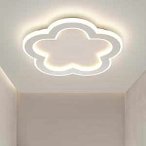 Modern LED Ceiling Light 9.8inch Small Ceiling Light Fixture 21w with Remote Control(3000k-6000k) Close to Ceiling Lights for Hallway Entryway Corridors Kitchen Laundry Room (White)