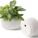 T4U 10 Inch Self Watering Pots for Indoor Plants, 2 Pack Large Plant Pots, Self Watering Planter for Indoor Plants, Durable Plastic Pots (2 Pack,10", White)