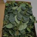 Tigeen 100 Pcs Artificial Eucalyptus Stems Tall 11.8 Inch Tall Faux Eucalyptus Branches Fake Greenery Plants Stems for Vase Home Party Wedding Decorations