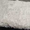 Thick Area Rug 4x6 Cream White Fluffy Shag for Bedroom, Soft Washable Fuzzy Shaggy Non-Slip Plush Carpet for Living Room, Modern Furry Rugs for Kids Nursery Baby Boys Girls Dorm, Ivory