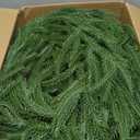 6 FT Christmas Norfolk Pine Garlands, Winter Decor Real Touch Pine Garland, Artificial Greenery Xmas Garland for Holiday, Table, Wall, Fireplace, Mantel, Indoor & Outdoor Decoration (Pack of 1, 6 FT)