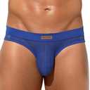 Arjen Kroos Men's Sexy Underwear See-through Sheer Briefs Mesh Pouch Lingerie Tagless Underpants (Medium, Blue)