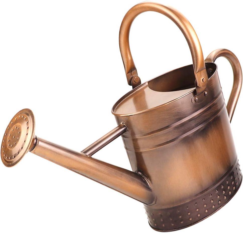 1 Gallon Metal Watering Can with Removable Spout, Nice Galvanized Steel Water Can with Embossed Design for Indoor and Outdoor Plants (Bronze)
