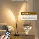 Modern 85.4" Arc Floor Lamp for Living Room, 2 Lights Arched Standing Tall Lamp with Remote, X-Shaped Bright Curved Lamp, Dimmable LED Corner Light for Bedroom, Office, Black, B61LD05W1