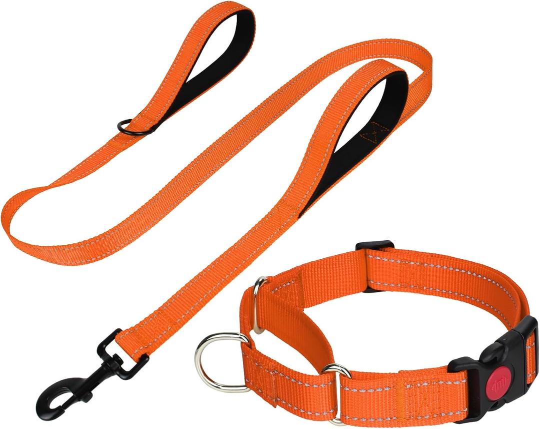 FunTags Reflective Martingale Collar for Dogs, Quick Release Buckle, 5FT Double Handle Dog Leash Padded, Dog Collar and Leash Set, Adjustable for Medium Dogs (Orange, M)
