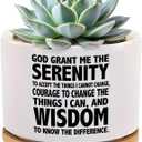 God Grant Me The Serenity Prayer Inspirational Gifts Sobriety Recovery Sober Motivational Christian Gifts Ceramic Succulent Plant Pot with Bamboo Tray Round Home Decor 3.5 Inch White (No Plants)