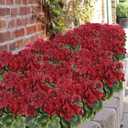 2 Pcs Artificial Geraniums for Outdoor Silk Geranium Flowers Red Artificial Geranium Bush Faux Flowers Geraniums Branch for Garden Patio Grave Cemetary Vase Table Centerpiece Indoor Decor