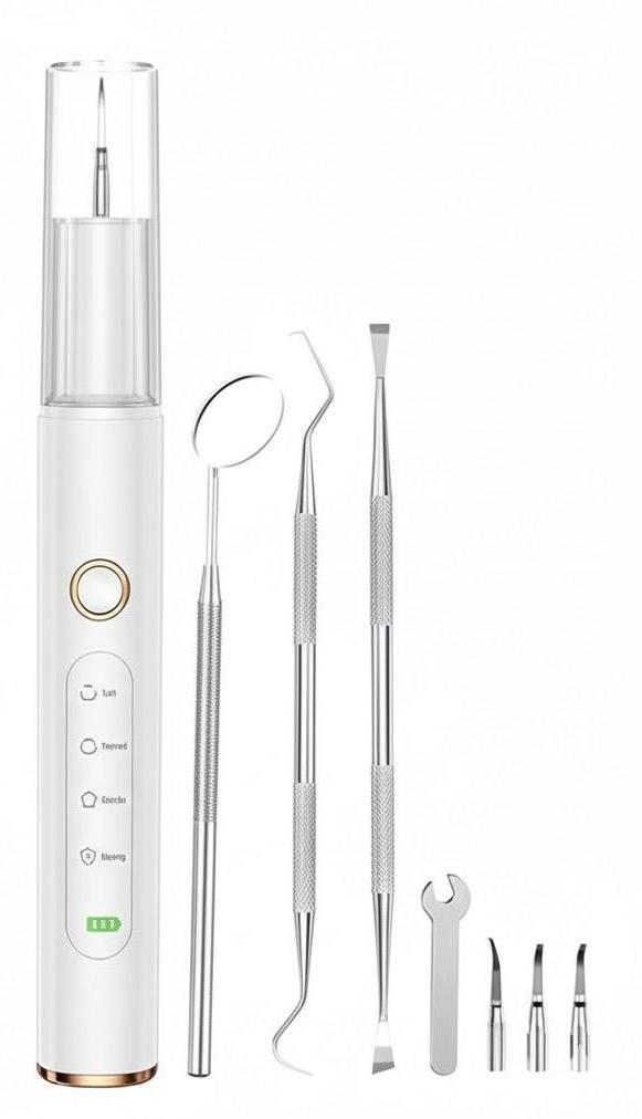 Plaque Remover for Teeth - Tartar Remover for Teeth, Dental Calculus Remover Teeth Cleaning Kit 4 Speed Modes with 4 Replaceable Heads