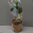 Rechargeable Baby Toys Dancing Talking Cactus Toy, Volume Adjustable, Singing Mimicking Repeating, Easter Gifts/Easter Basket Stuffers for Baby Toddler, Baby Infant Toys Gifts for Girls Boys