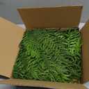 Artificial Plants Outdoor, UV Resistant Fake Fern Faux Plant Greenery for Outside Planter Patio Home Garden Decor 5 Branches (Basket Excluded)