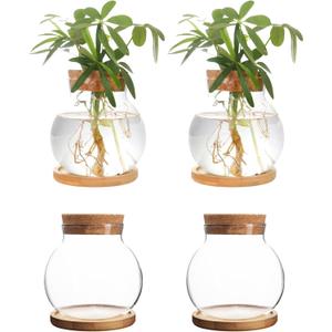 Plant Propagation Station,Hydroponic Glass Container Vase Jars, with Wooden Saucer for Desks, Houses, Garden Decorations, Home Kitchen Decorations and Gifts for Plant Lovers (4)