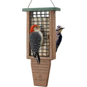 Kingsyard Recycled Plastic Suet Bird Feeder, Double Capacity Tail-Prop Suet Feeder for Outside Hanging, Sturdy & Durable, Great for Woodpecker & Clinging Birds, Green