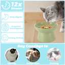 STARVAST 2 Pack Ceramic Slow Feeder Cat Bowl, Elevated Slow Feeder Cat Bowl, Anti Vomiting & Choking Cat Slow Feeder, Raised Cat Bowl Slow Feeder for Dry and Wet Food, Spill-Proof and Easy to Clean