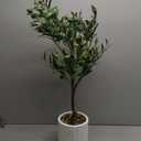 GreenBoxx Artificial Olive Tree 3ft Faux Plant with White Planter & Pebbles - Realistic Silk Leaves Modern Fake Plants Fake Olive Potted Trees Decoration Perfect for Home, Office, and Indoor Decor