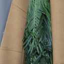 Artificial Palm Tree 6ft Tall Fake Palm Tree Indoor Decor with 18 Trunks and Real Bark Design Faux Tropical Areca Palm Silk Floor Plant in Pot for Home Office Living Room Bedroom Decor 2pcs