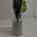 16" Small Fake Plants Artificial Tropical Faux Plants Indoor for Office Desk Shelf Bathroom Home Decor