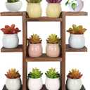Wood Desktop Plant Stand Indoor Small Windowsill Flower Shelf Tabletop Plant Shelf Holder Display Rack for Succulent Herb in Living Room Office 9 Tiers