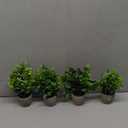 Greenery In Pot - 22cm