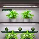 Maygrove Grow Lights for Indoor Plants, Sunlike Full Spectrum 5000K 2FT LED Growing Lamp 60W (4 x 15W), T5 Grow Light Strip for Seed Starting, Vegetables, Linkable, White, 4-Pack, 2FT-White Cover