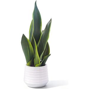 Artificial Snake Plant Potted, 15" Faux Plant, Suitable for Home Office Living Room Window Sill Indoor Decor Housewarming Gifts