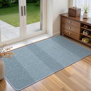 Ultra Thin Door Mat Indoor Entrance 24"x47", Low-Profile Indoor Door Mat, Non Slip Entry Mat Rubber Backing Unique Herringbone Design Inside Doormat Dirt Trapper Entryway Mats, Light Blue