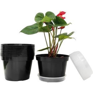 12 Pack Plant Pots, 8 Inch Plant Planter with Clear Saucer, Plastic Pots for Plants Indoor and Out Door Such as Strawberry, Herb and Flowers (Black)