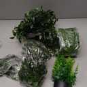 Indoor Decor,Fake Plant Set,Assorted Artificial Foliage,Realistic Plastic Greenery For Home And Office Decoration(Green)