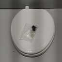 Ridgewood Toilet Seat Eb (Elongated, White)