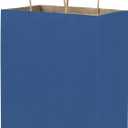 bagmad 100 Pack 8x4.75x10 Inch Medium Blue Gift Paper Bags with Handles Bulk, Kraft Bags, Craft Grocery Shopping Retail Party Favors Wedding Business Sacks (Blue, 100pcs)