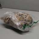 SENSARTE White Ceramic Nonstick Saucepan with Lid 1.5 Quarts, Small Cooking Pot with Stay Cool Handle, Induction Compatible Saucepot, White Granite Coating, Free of Intentionally Added PTFE/ PFOA/ PFAS