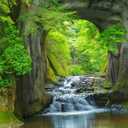 Reyhui Forest Stream Wall Mural Wallpaper Large Nature Scenery 108" x 75"