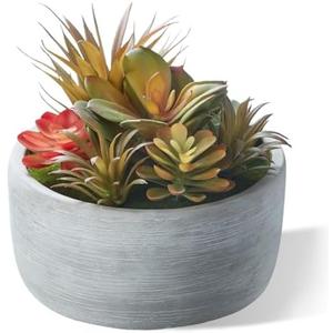 yel canby Artificial Succulent Plants Potted Indoor with Ceramic Pot - Fake Low Maintenance Plants for Bedroom, Bathroom, Coffee Table Decor - Home Office Desk & Room Aesthetics