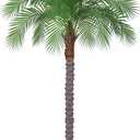 6ft Artificial Phoenix Palm Tree, Faux Coconut Silk Tropical Fake Palm Plant for Indoor Outdoor Home Office Patio Bathroom Pool Coastal Decor